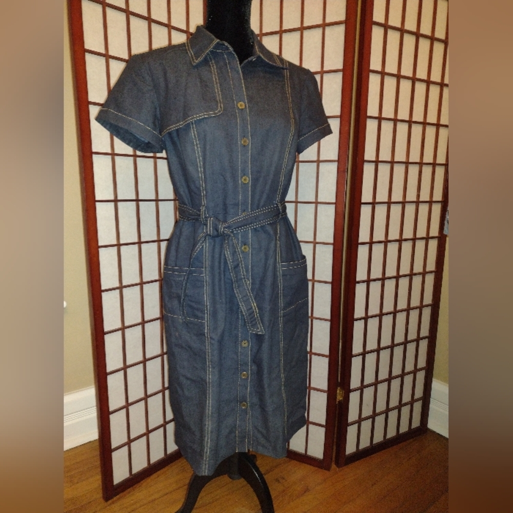 Cute Sandra Darren denim dress, size 10